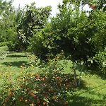 Gurkan Apart-hotel 4*