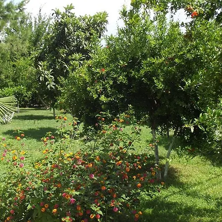 Gurkan Lägenhetshotell 4*