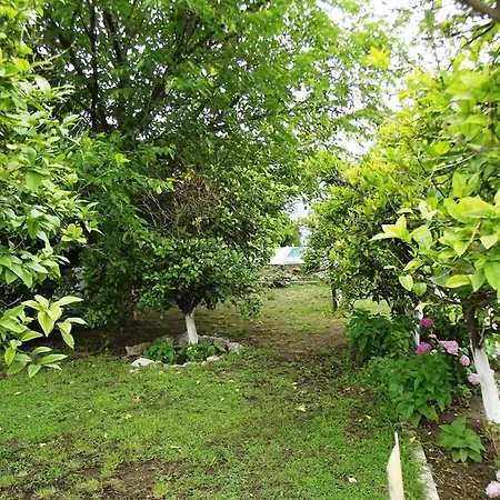 Lägenhetshotell Gurkan Dalyan