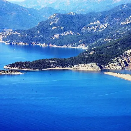 Gurkan Dalyan